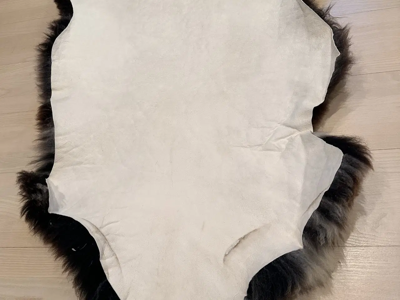 Billede 6 - Helt nyt lammeskind
