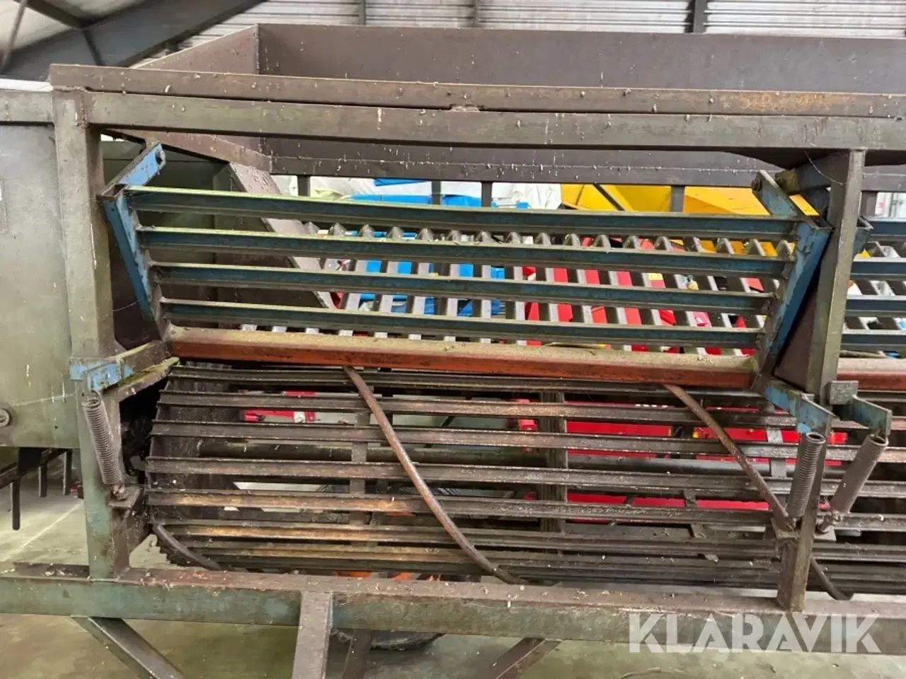 Billede 9 - Roe renser Triumf