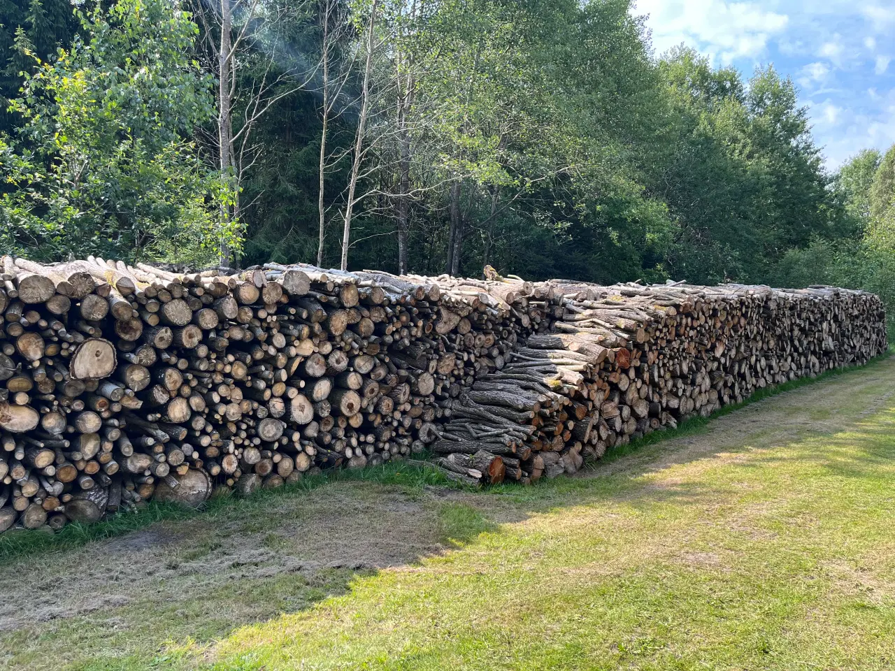 Billede 1 - 20 rm. Løvtræ inkl. levering i Nordjylland