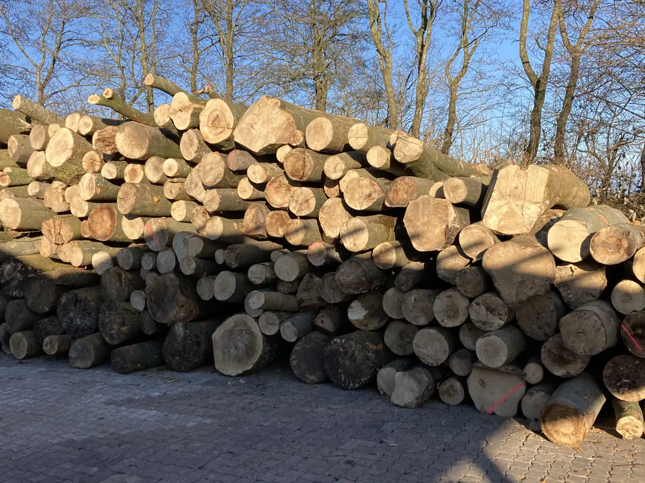 Billede 5 - Brænde af bøgetræ