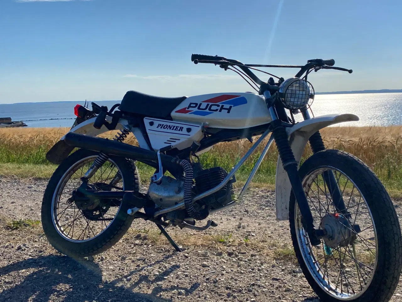 Billede 3 - En af Danmarks mest sjældne knallerter