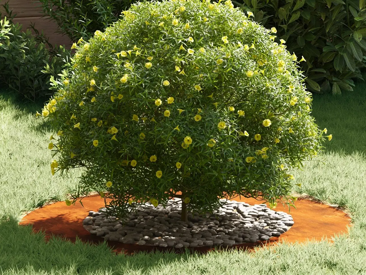 Billede 4 - Flade Træ Ringene 5 stk Brun Ø50 / 80 cm Forvitret stål