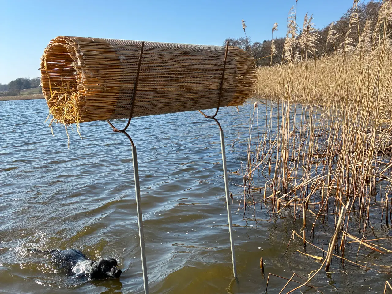 Billede 1 - Ducktube