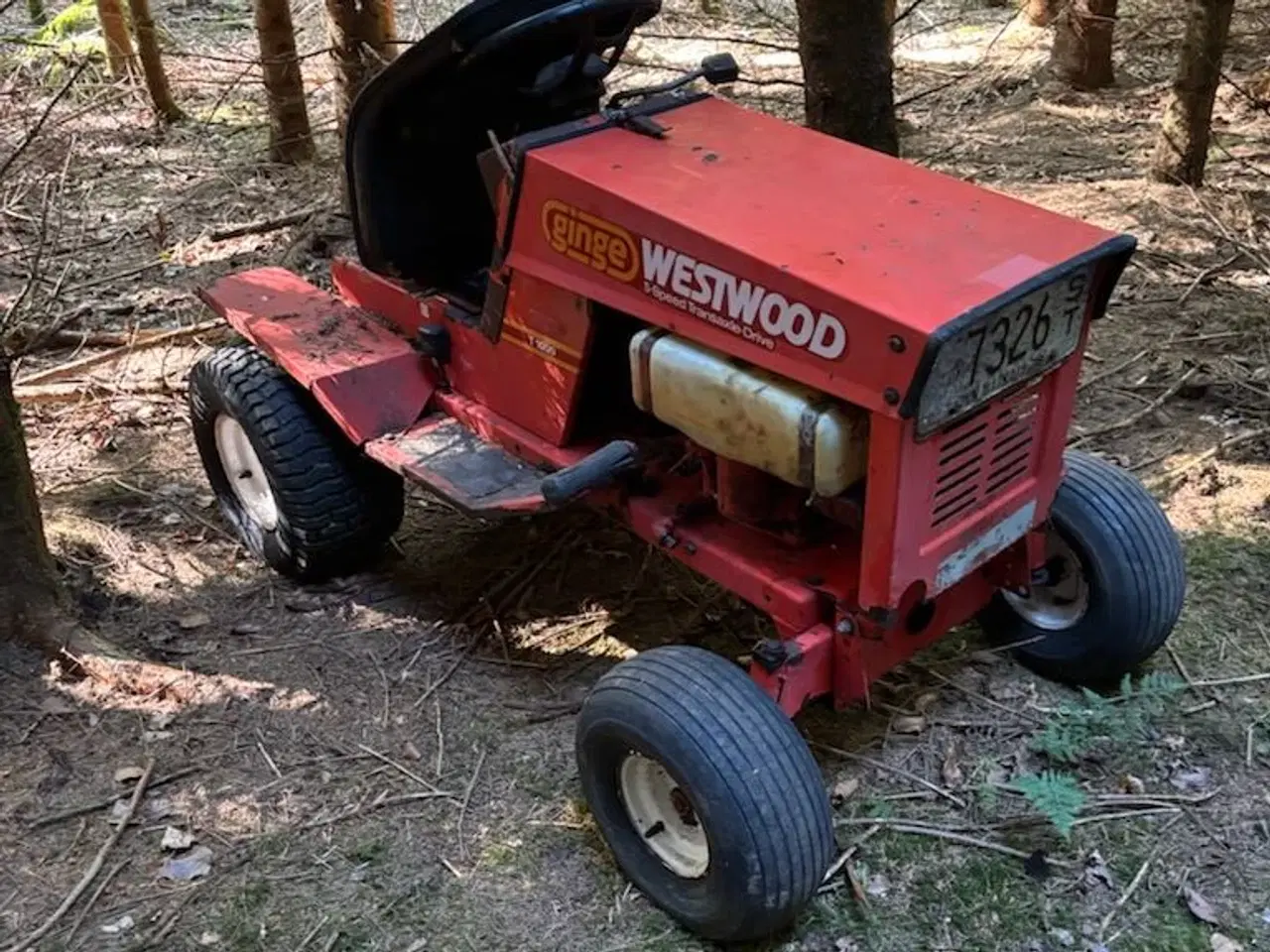 Billede 1 - En sjældenhed 