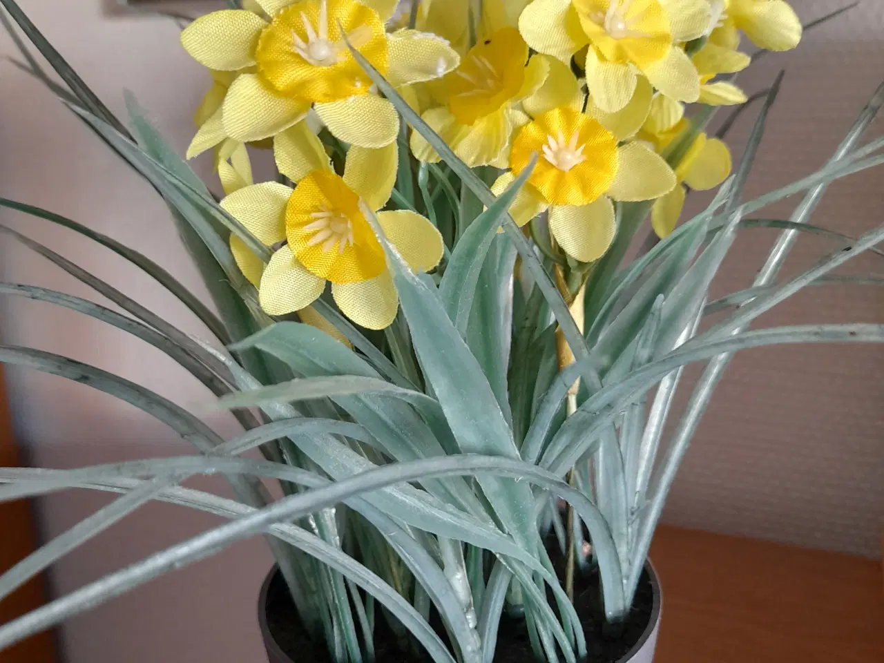Billede 1 - Påskeliljer i urtepotte ( plastik)