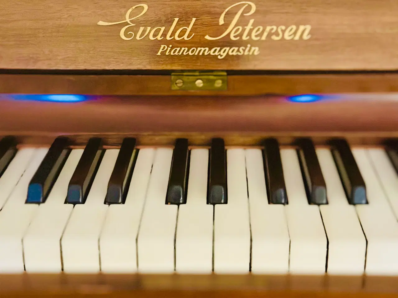 Billede 3 - GRATIS - Klaver fra Evald Petersen