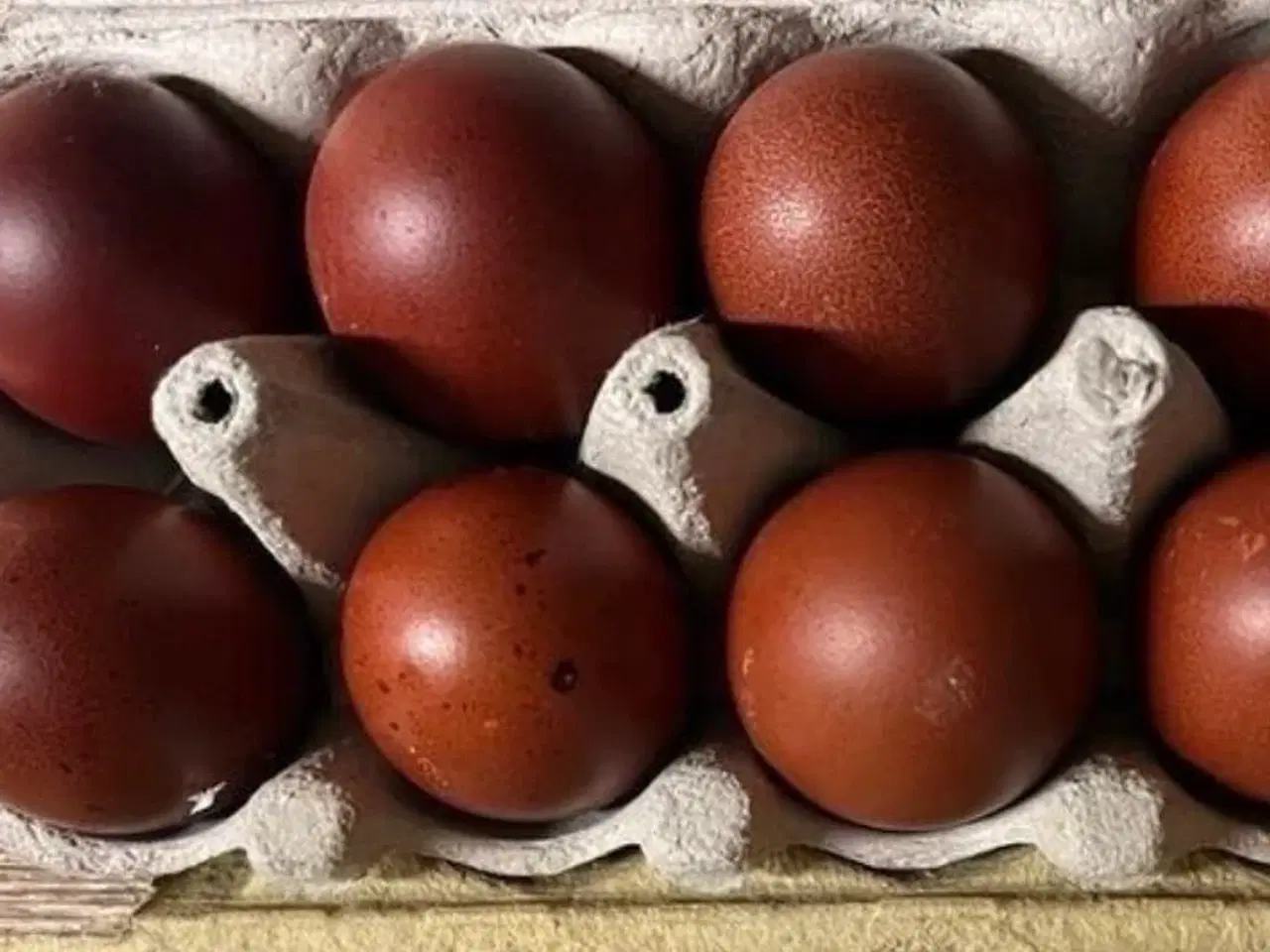 Billede 4 - Maran blå kobberfarvet rugeæg