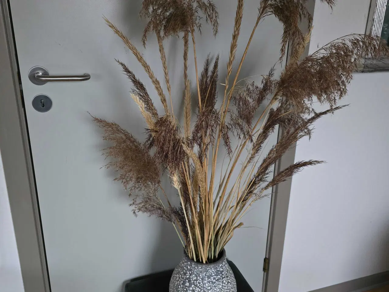Billede 2 - Tørrede Blomster i vaser 