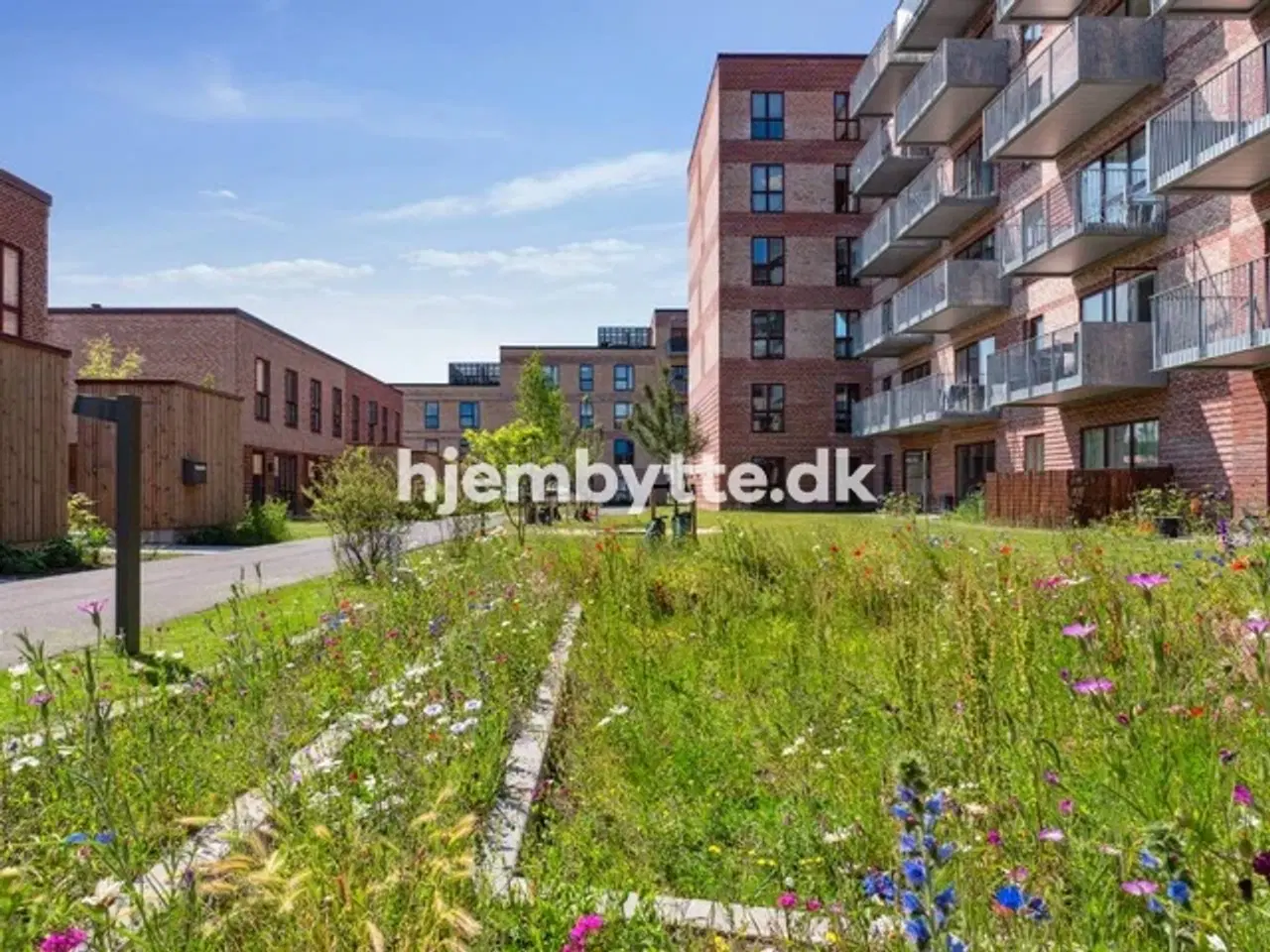 Billede 5 - Hjembytte - Baneleddet