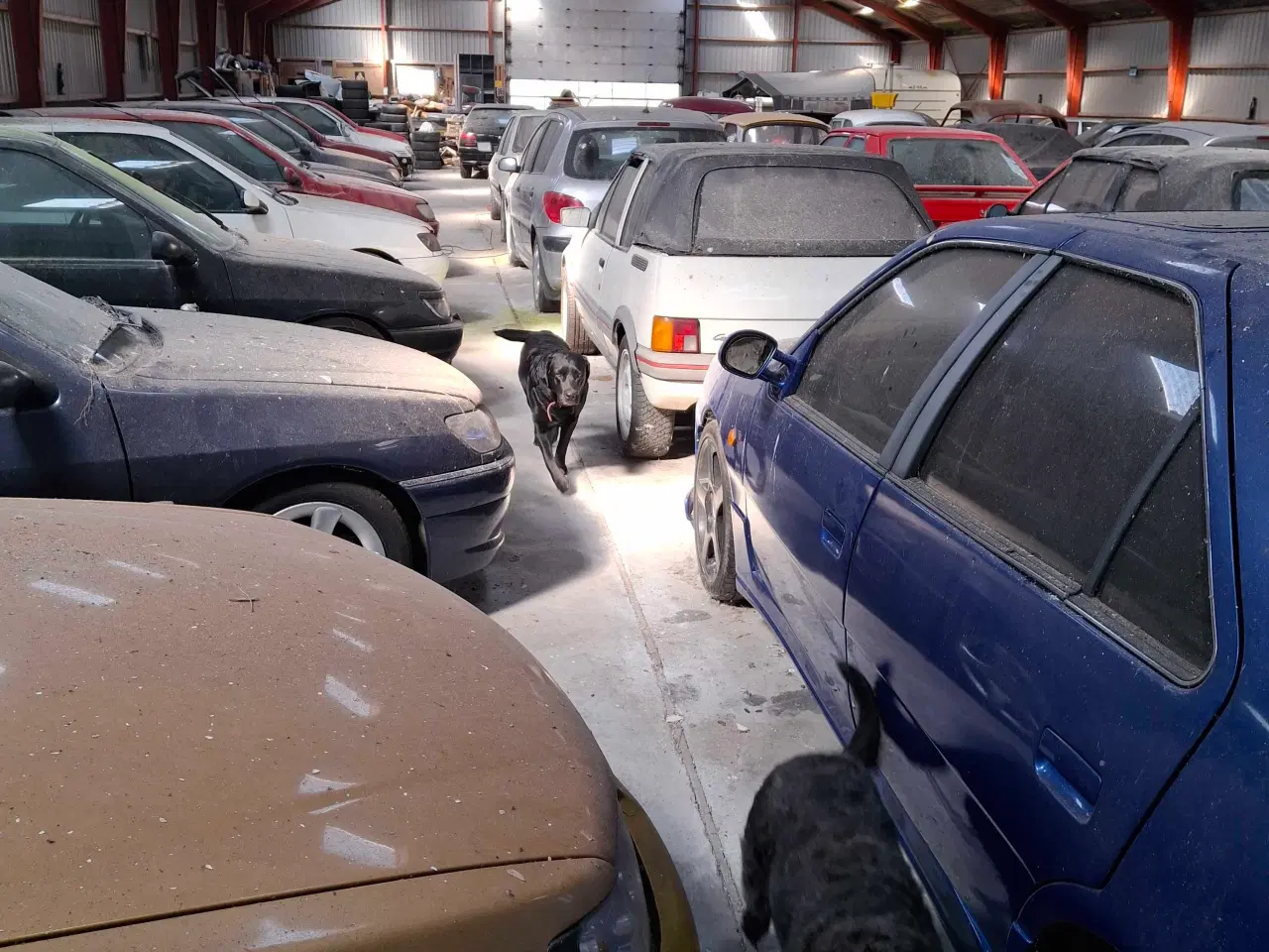 Billede 2 - Sælger ud af min samling alle special biler