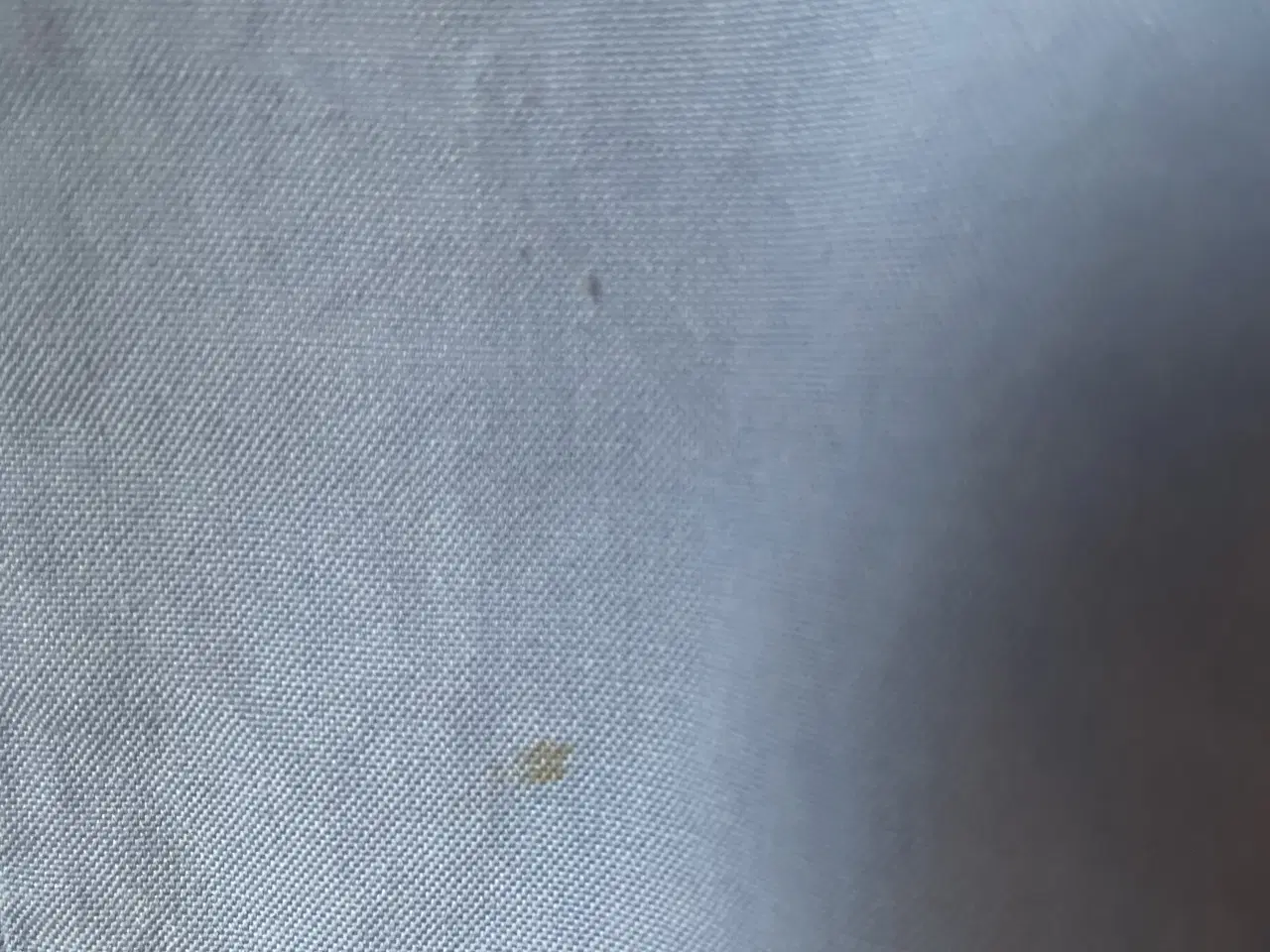 Billede 5 - Cottonfield skjorte