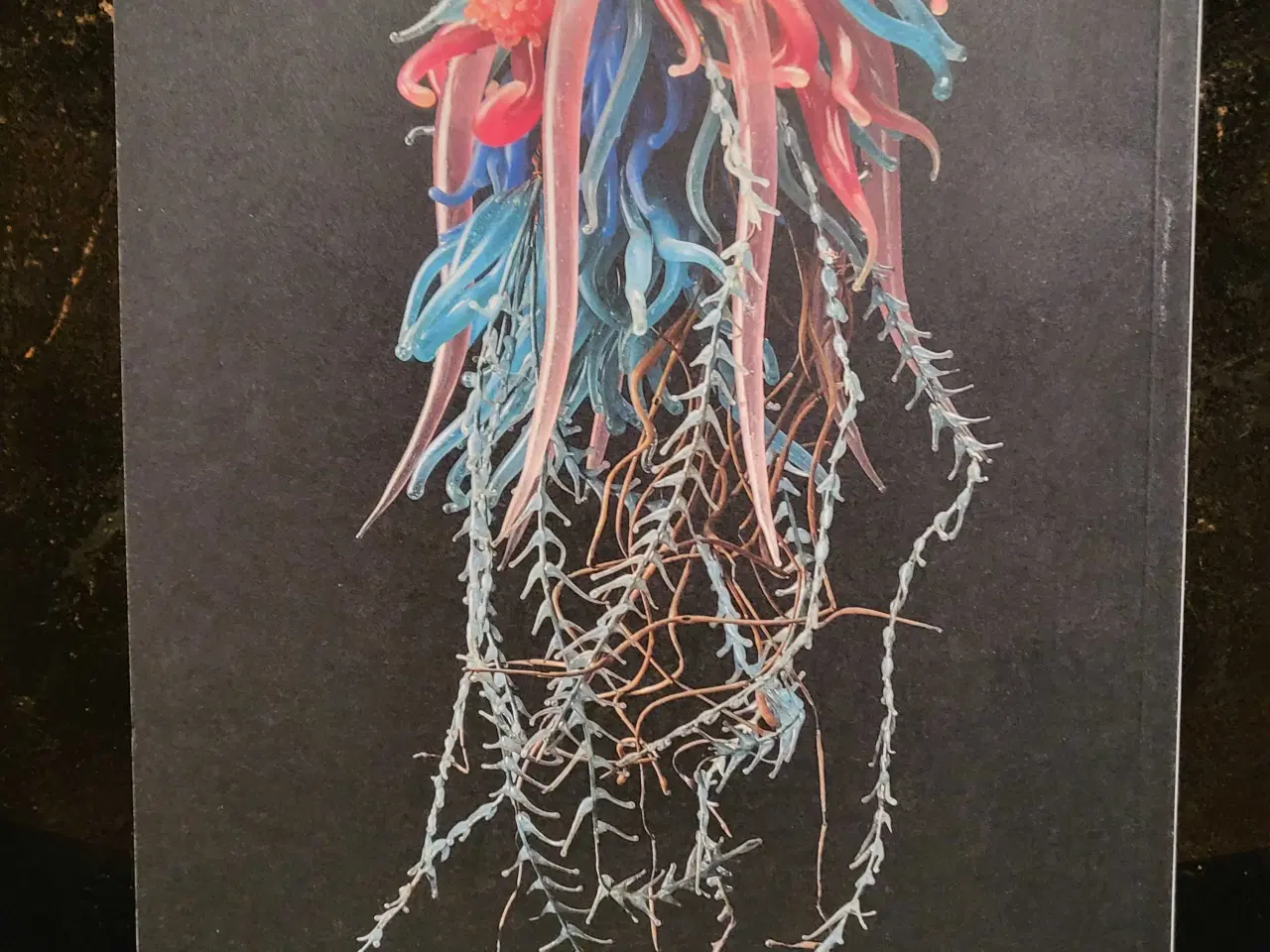 Billede 3 - Kunstbog om havet 