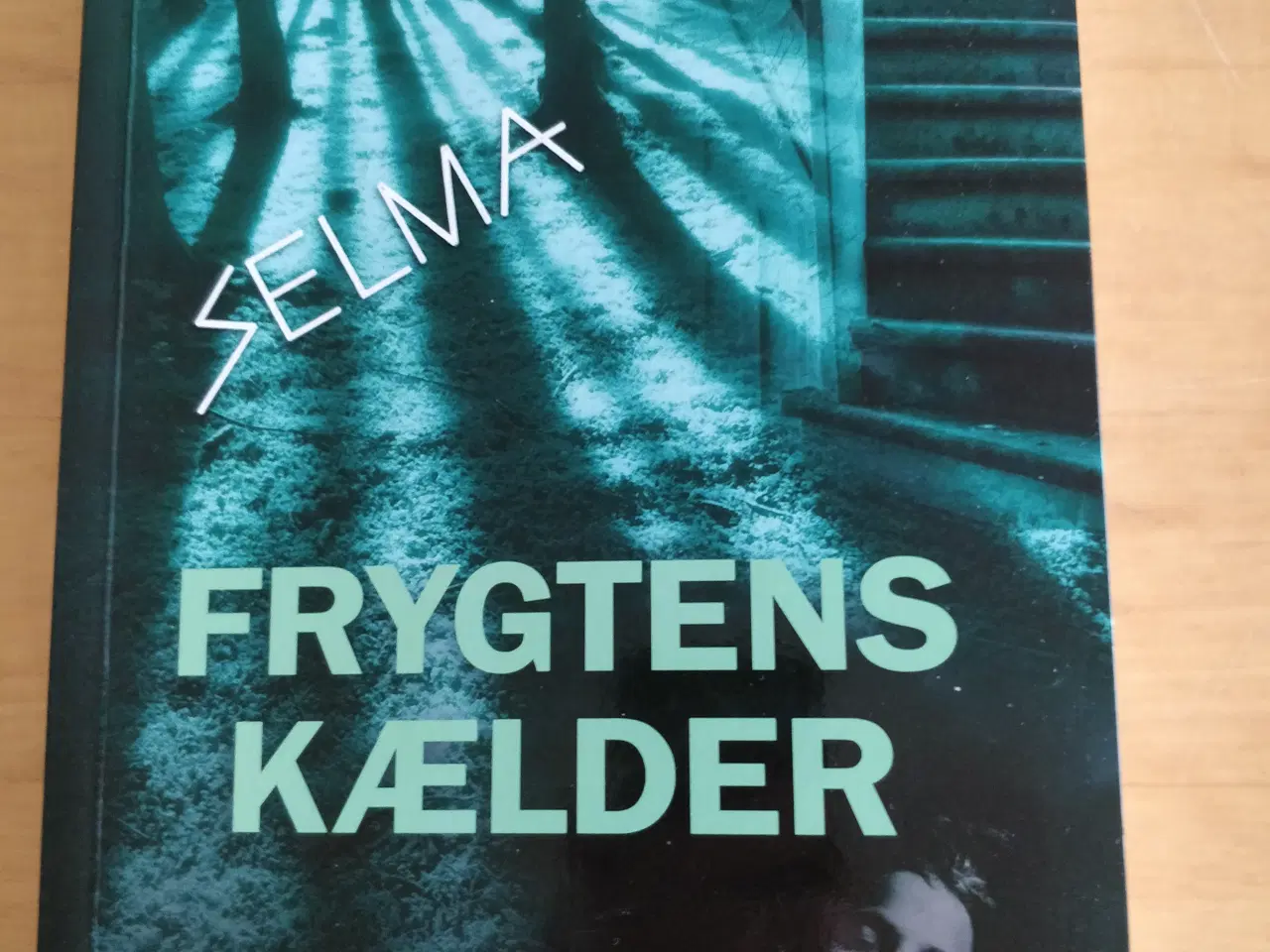 Billede 1 - Frygtens kælder, Randi Kjeldsen