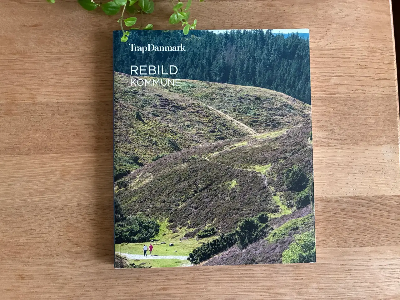 Billede 1 - Rebild Kommune  TrapDanmark