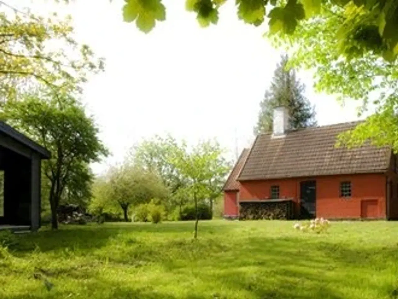 Billede 5 - Skovløberhus i Almindingen ved Aakirkeby på Bornholm - fantastisk sommerhus midt på solskinsøen