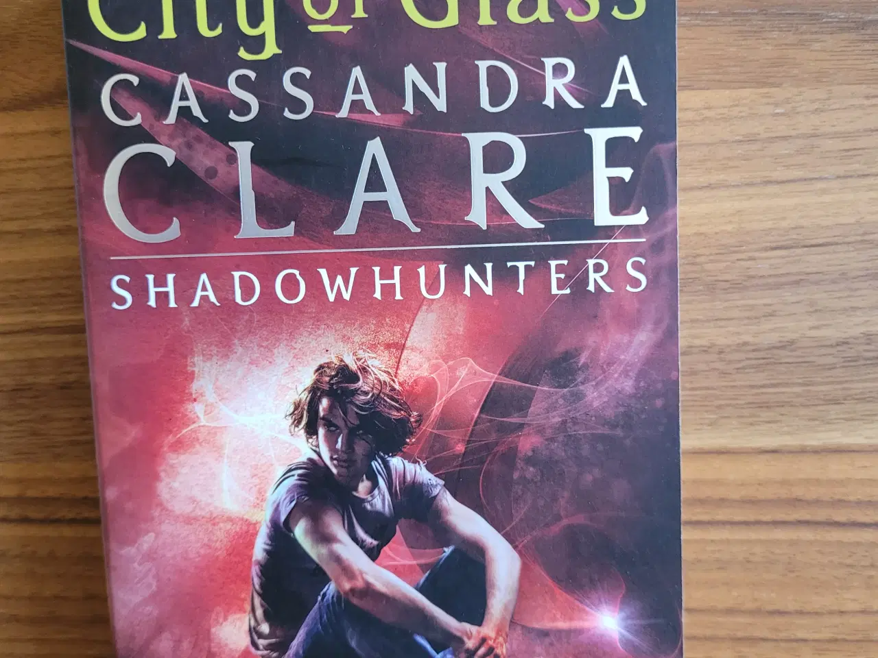 Billede 4 - The Mortal Instruments serien, Cassandra Clare