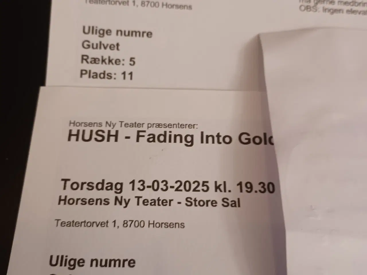 Billede 1 - 2 billetter til Hush koncert i Horsens d. 13-03