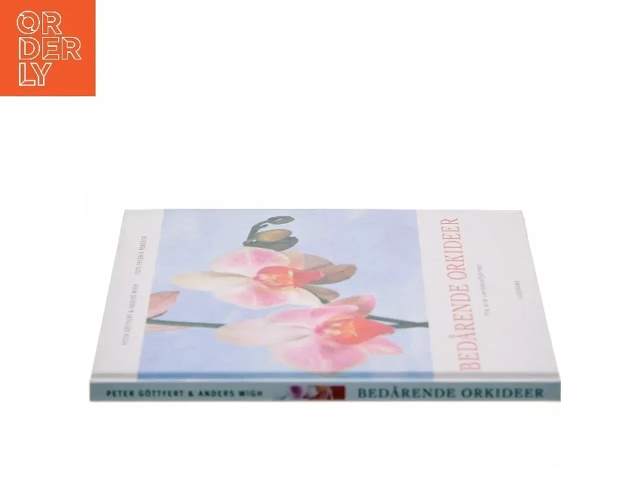 Billede 2 - Bedårende orkideer fra alle verdenshjørner (Bog)
