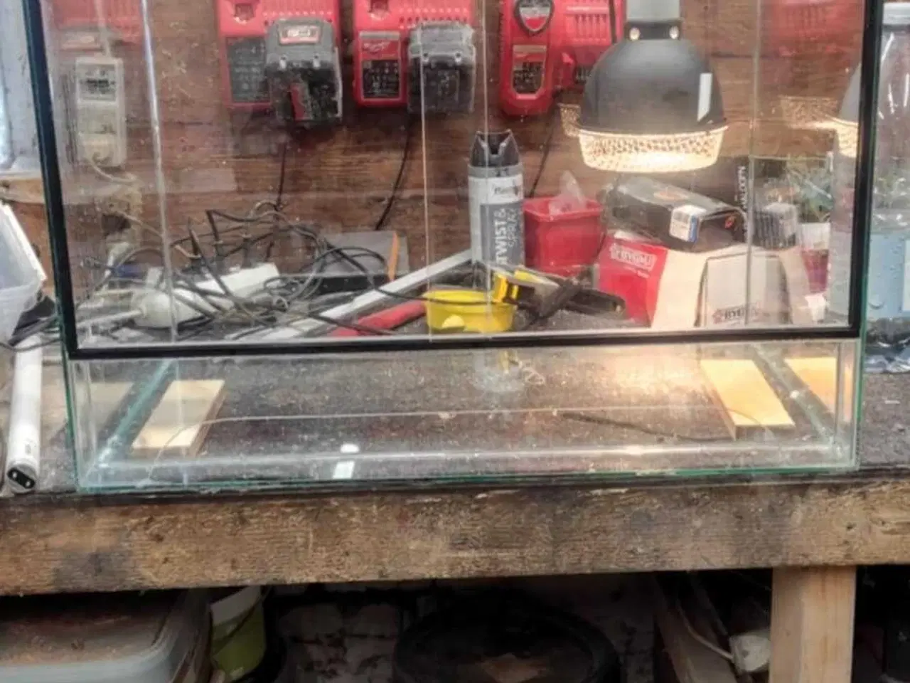 Billede 11 - Glas Terrarier