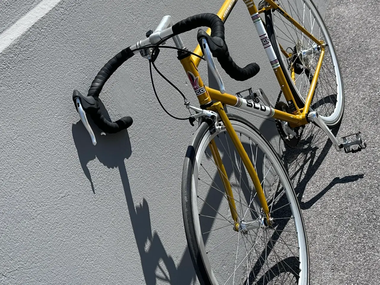 Billede 6 - Guld SCO verdensmestercykel herreracer