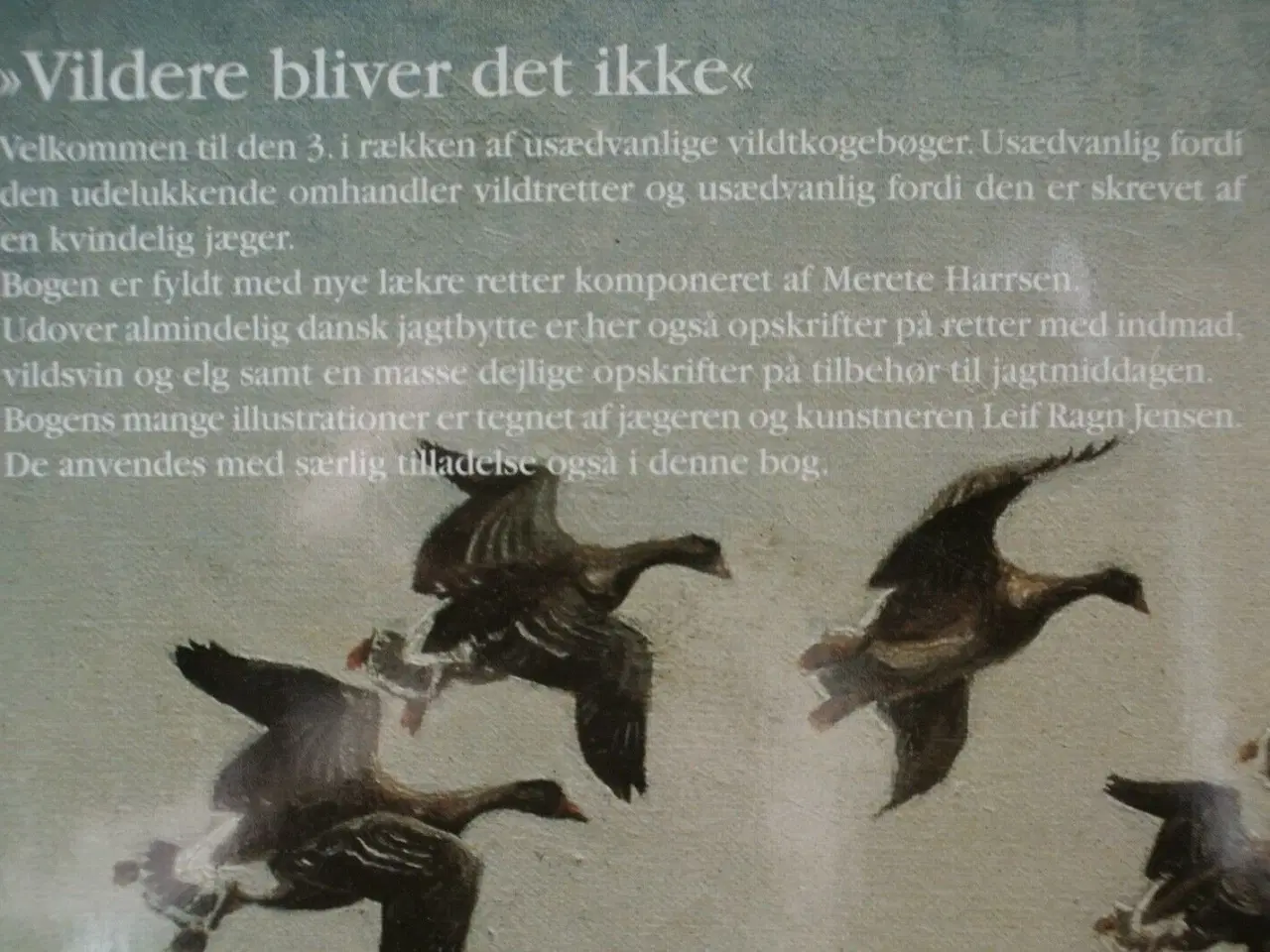 Billede 3 - vildere bliver det ikke - opskrifter og ideer om ,