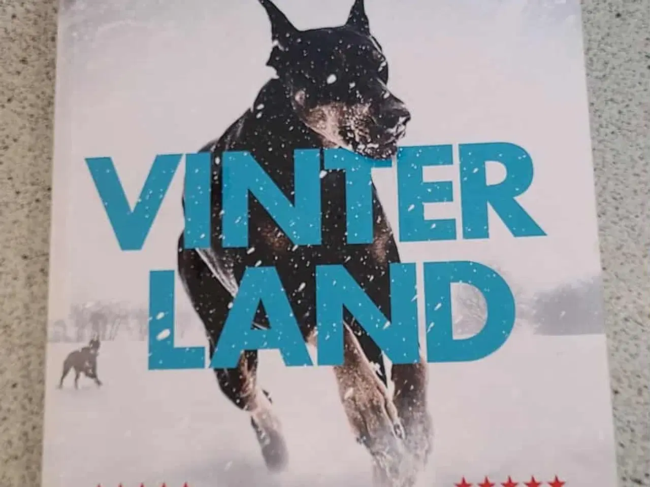Billede 1 - Janni Pedersen Vinterland 