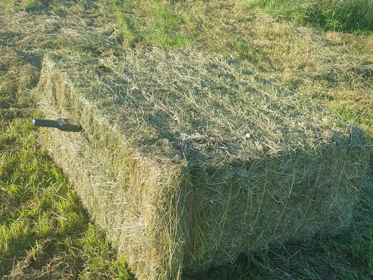 Billede 3 - Hestewrap ts 65-75%