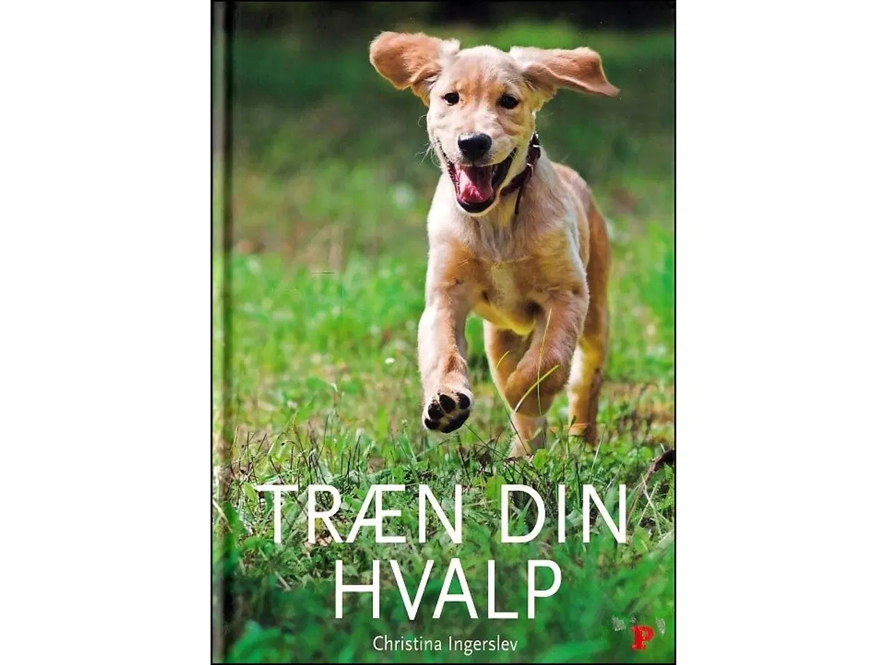 Billede 1 - Træn din Hvalp
