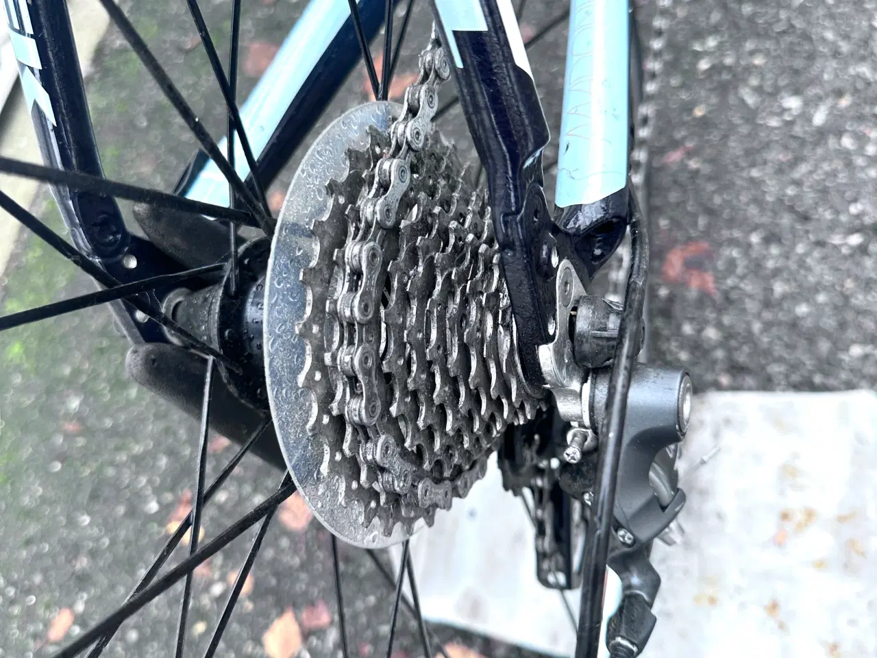 Billede 17 - Trek Madone 3.1 ULTEGRA – Carbon Racercykel (52 cm