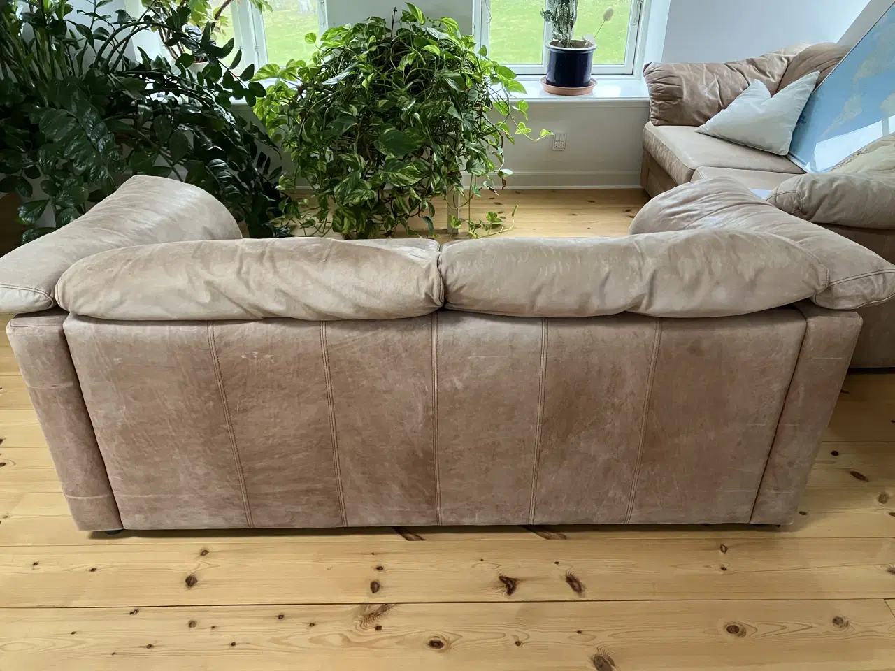Billede 3 - Interline Italia kvalitets sofa