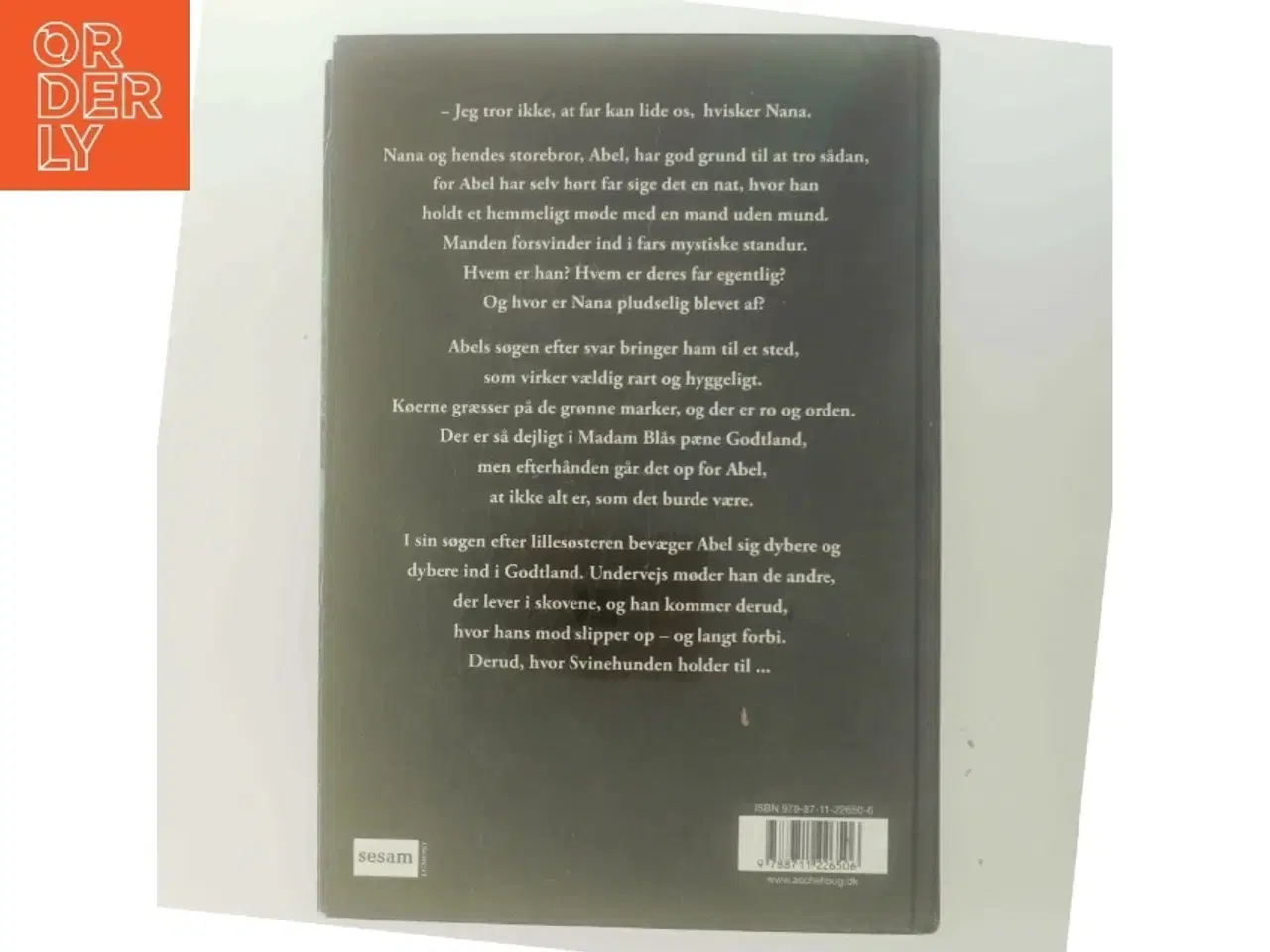 Billede 3 - Madam Blå og Svinehunden af Sally Altschuler (Bog)