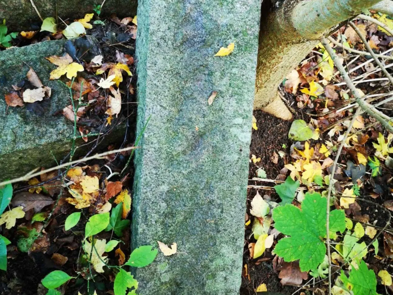 Billede 8 - Granitsten – ægte massiv granit, perfekt til have