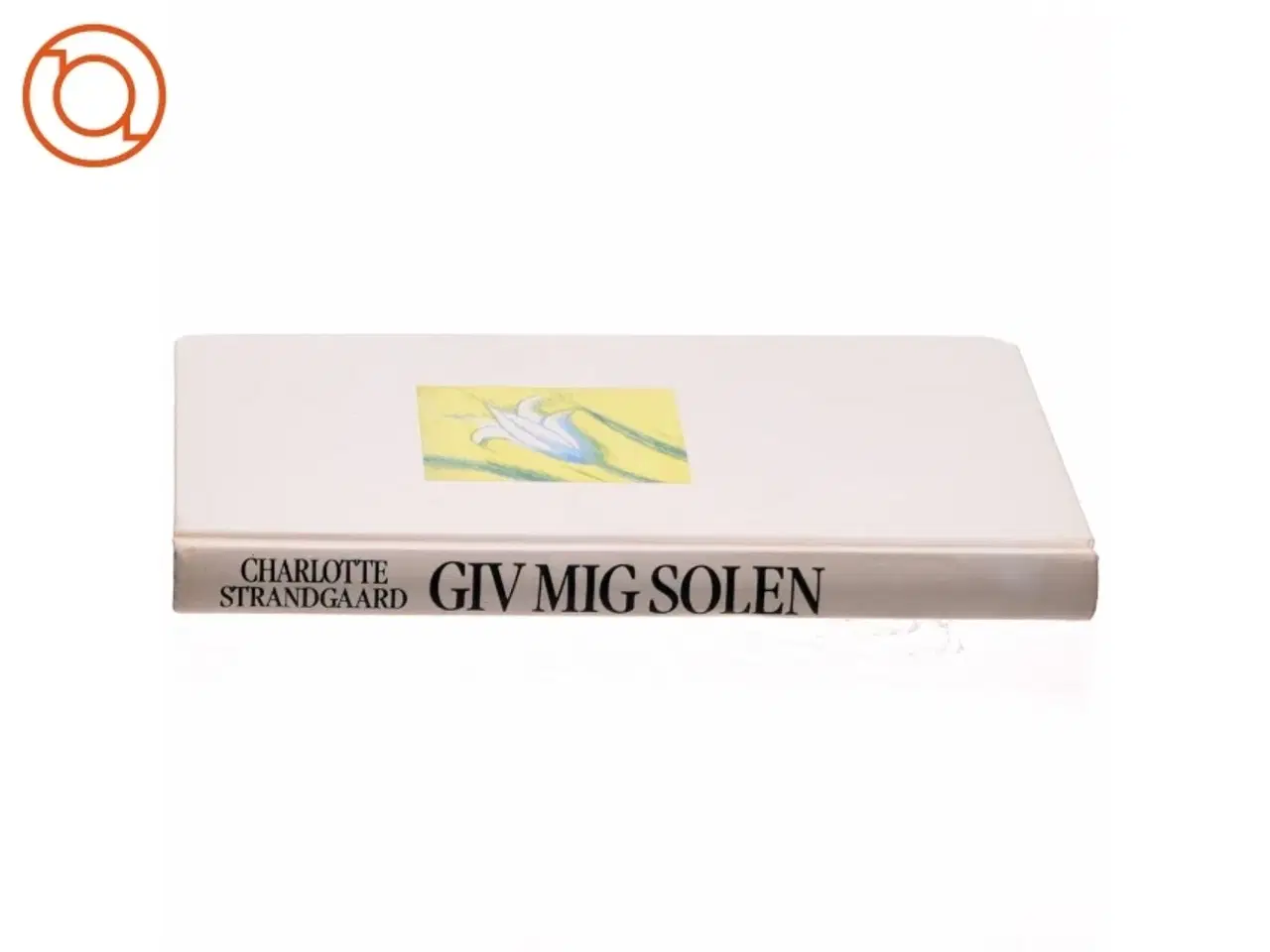 Billede 2 - Giv mig solen af Charlotte Strandgaard