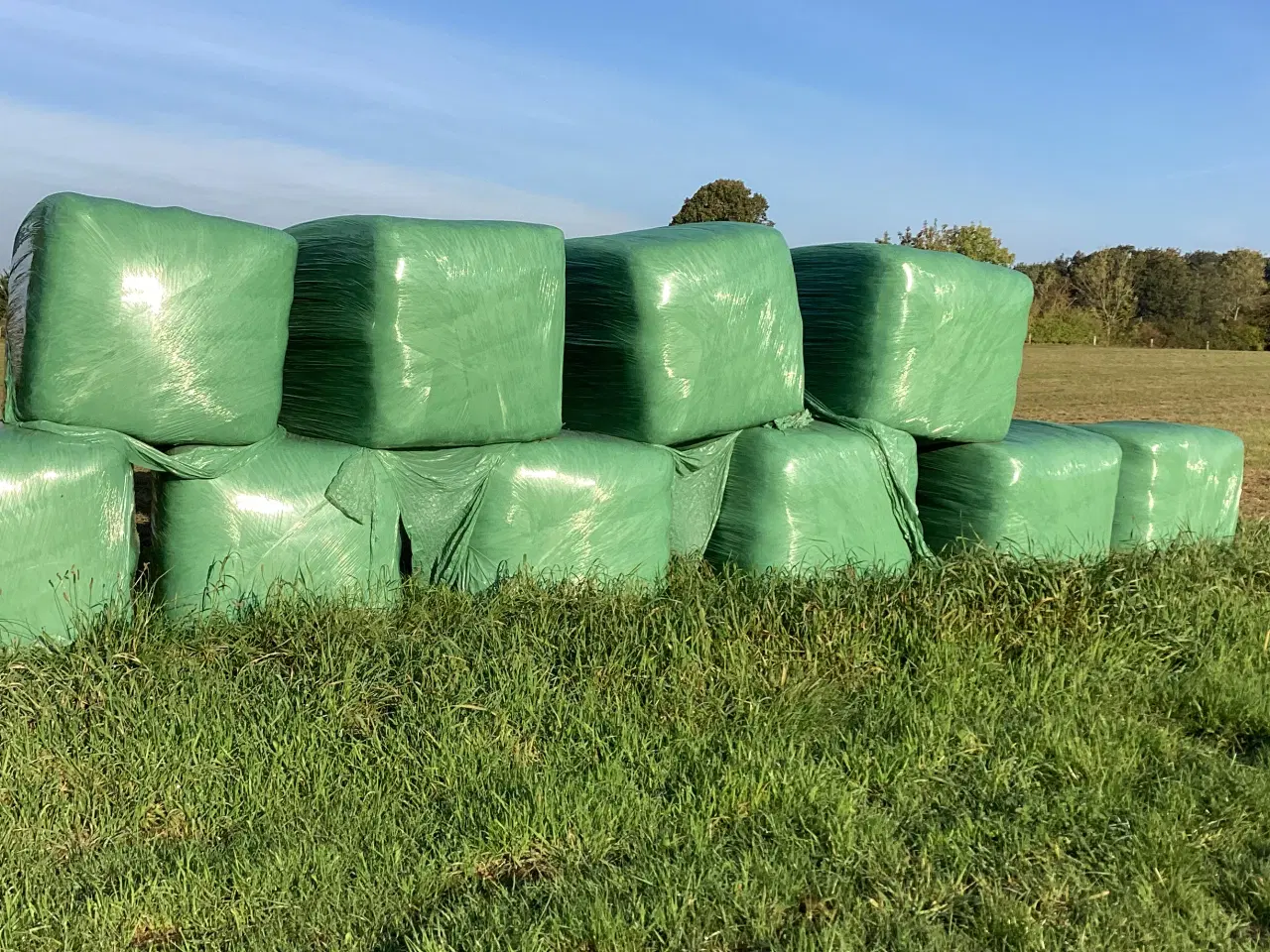 Billede 1 - Minibig høballer - tørt wrap - 2025