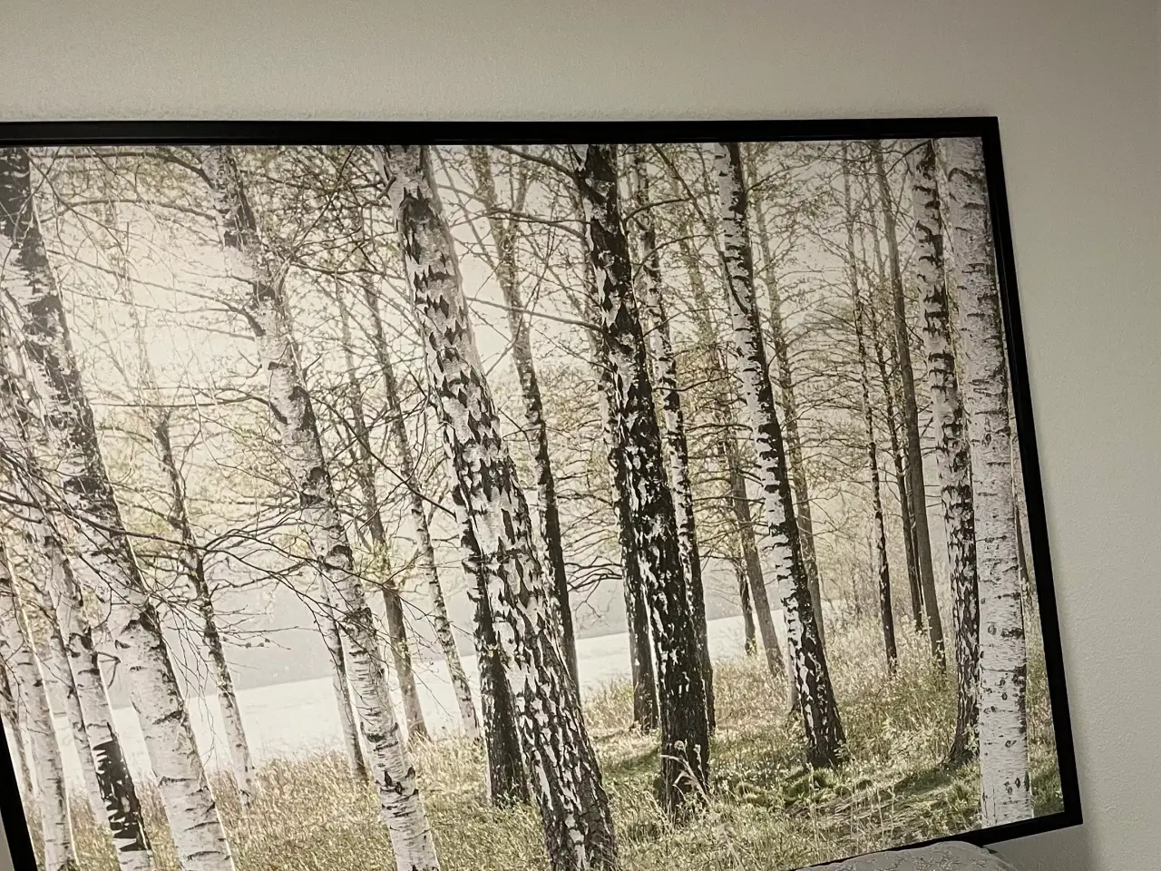 Billede 2 - Billede 140 x 200 cm. NYT