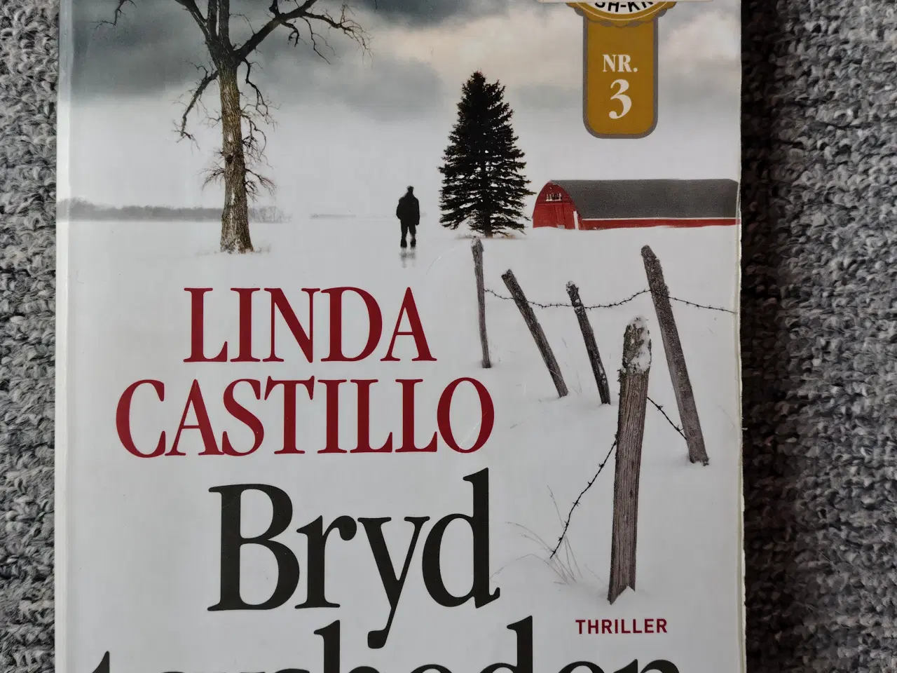 Billede 1 - Bryd tavsheden - Linda Castillo
