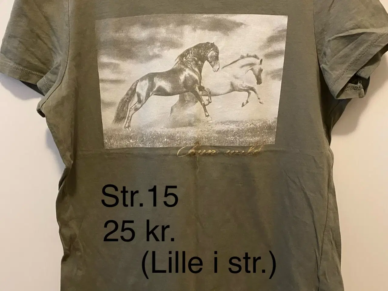 Billede 1 - T-shirt m/hestemotiv str.15 (12-13)