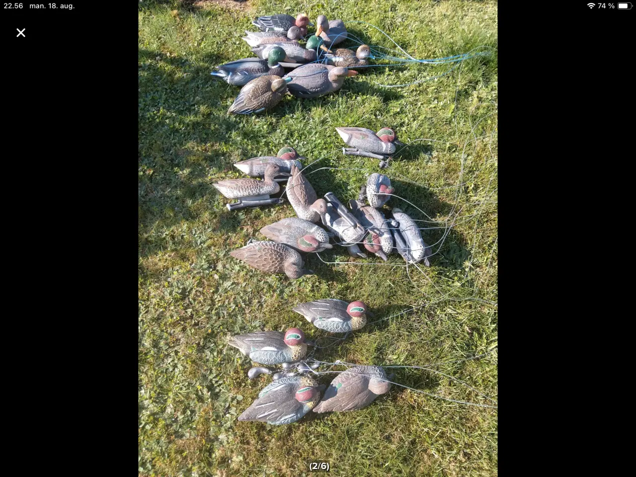 Billede 1 - Helt Nye Lokkeænder med Texas rig 22 stk.