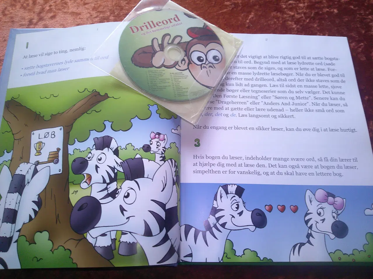 Billede 2 - Forstå hvad du læser, Erik Vierø Hansen