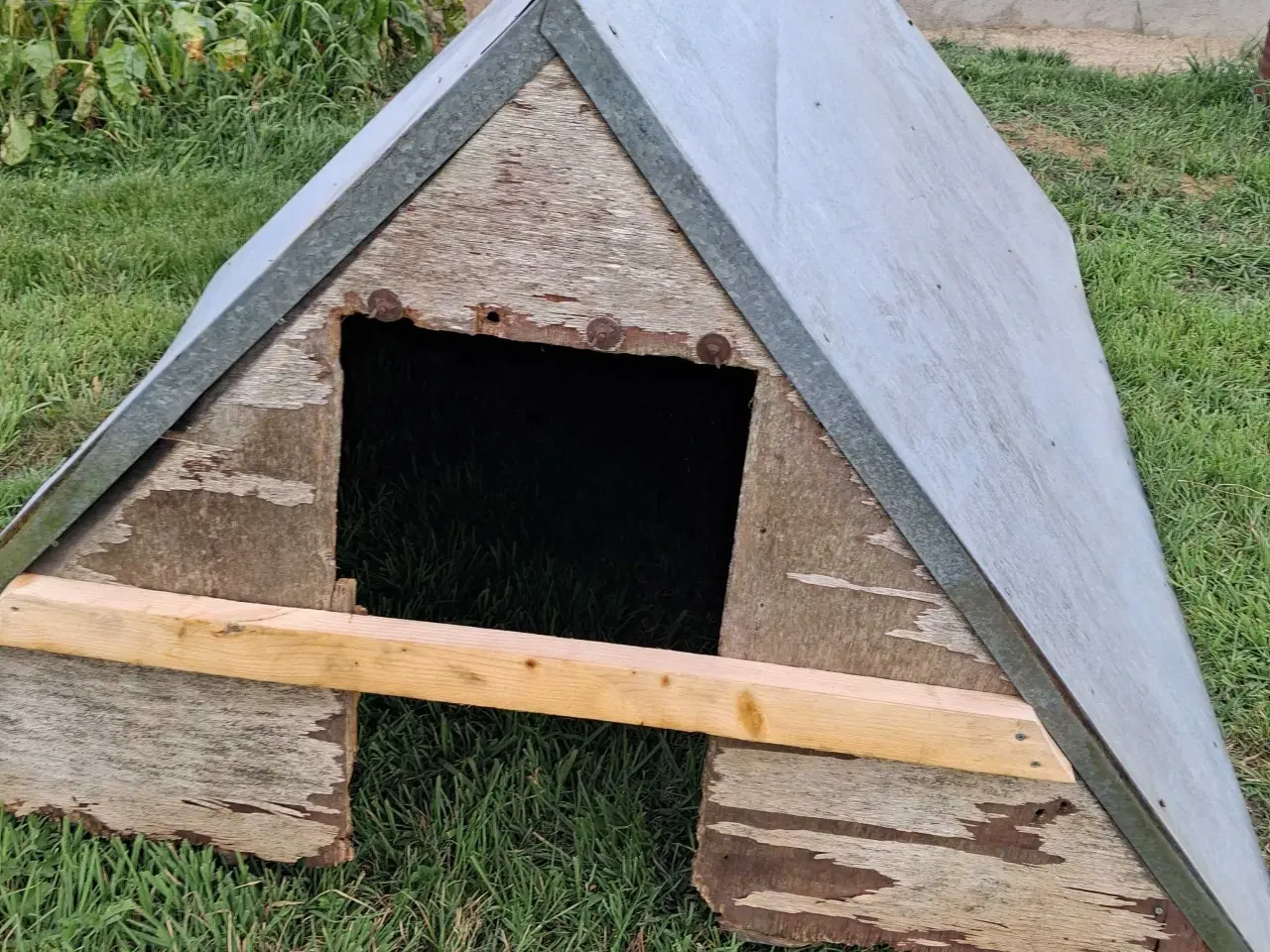 Billede 1 - Grise  hus/ får  hus  sælges  byd