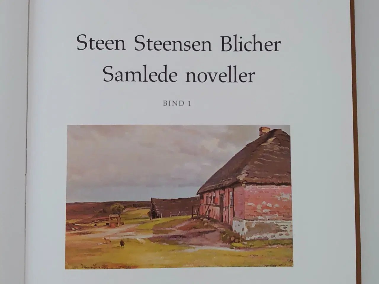 Billede 4 - Steen Steensen Blicher: Samlede Noveller. 5 bind.