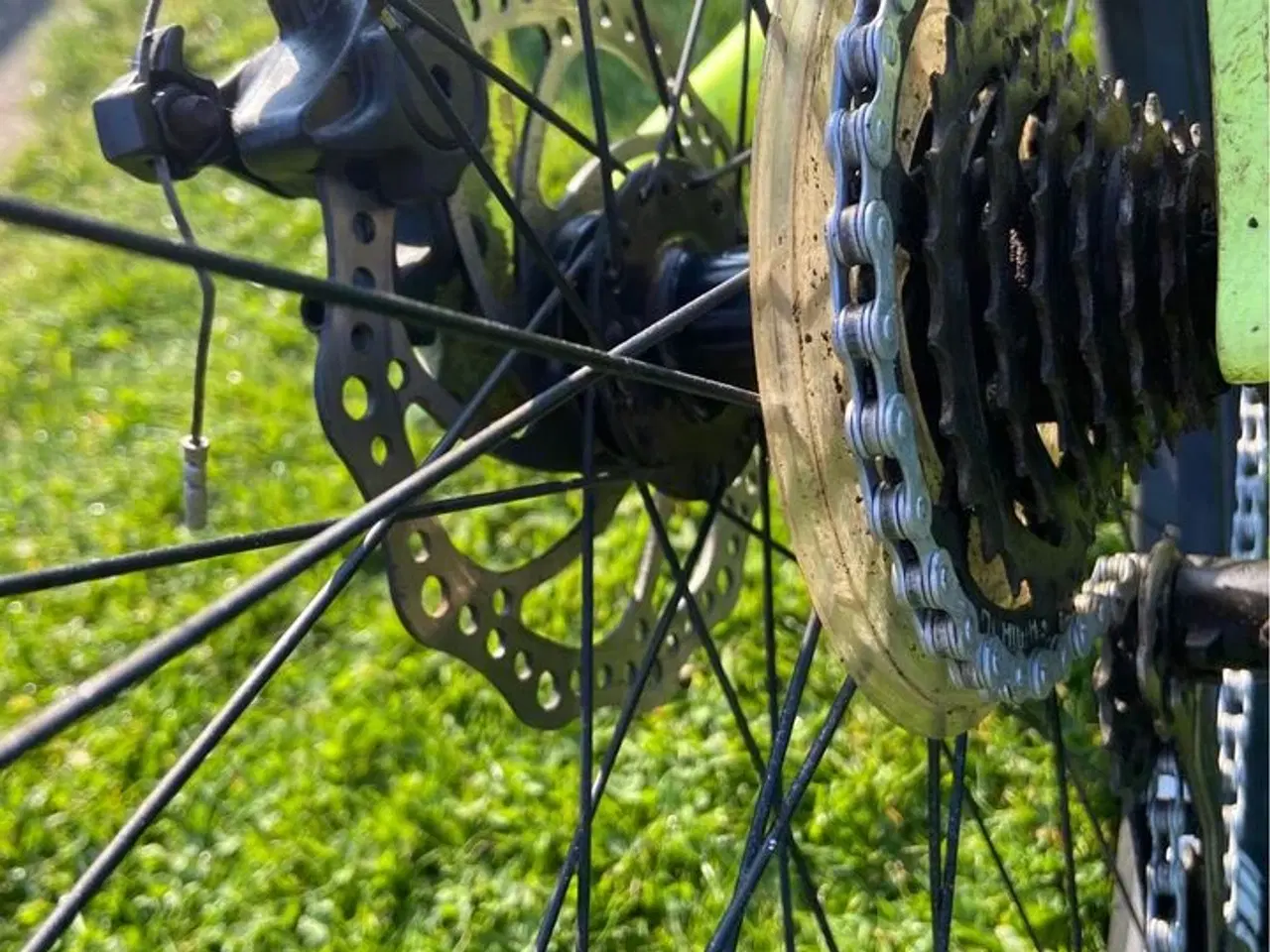 Billede 4 - Trek. 29" Hjul, 48 cm. stel, 21 gear