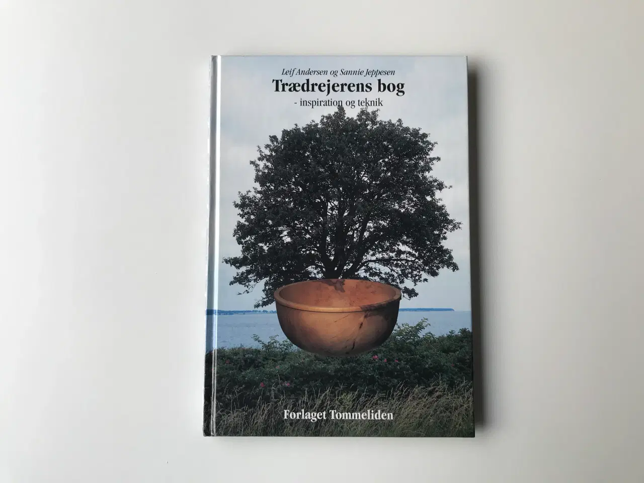 Billede 1 - Trædrejerens bog - inspiration og teknik