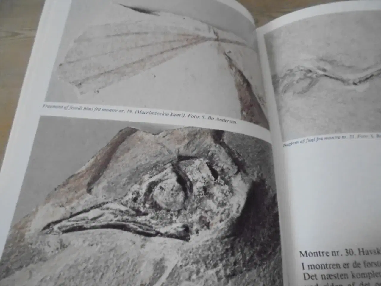 Billede 4 - Fur museum – udgivelse fra ca. 1980