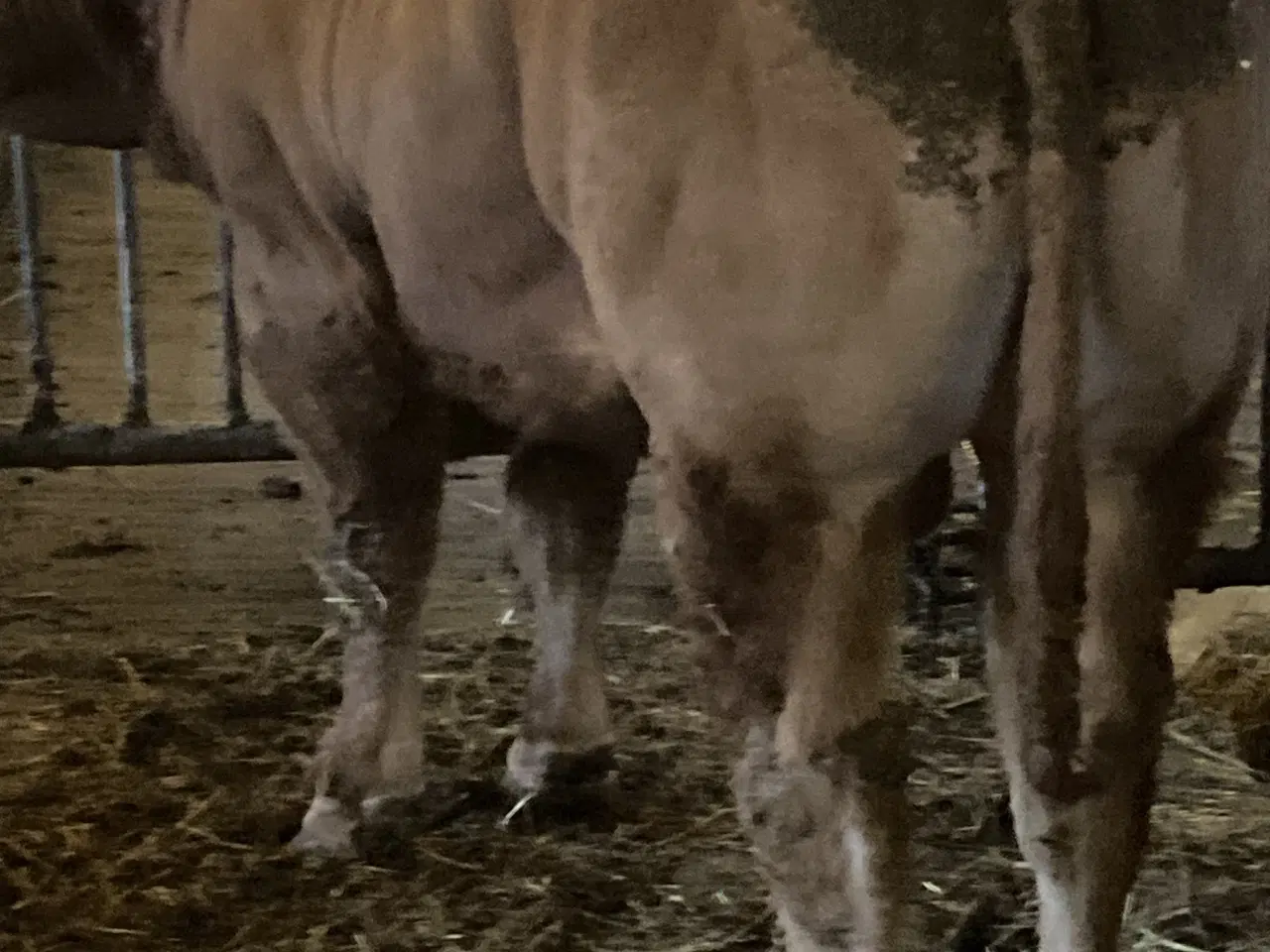 Billede 6 - Foldtyr Limousine 