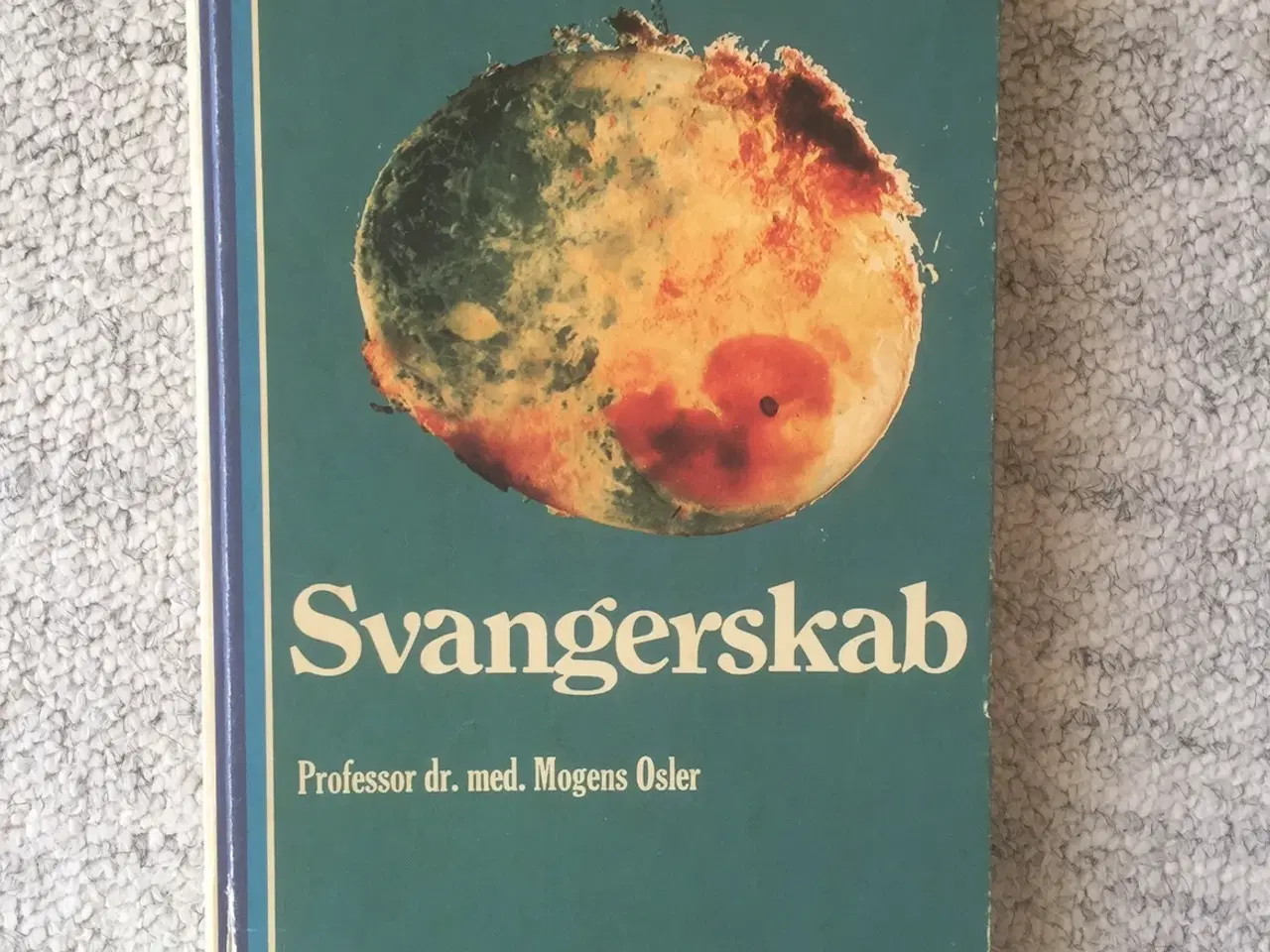 Billede 1 - Svangerskab bog