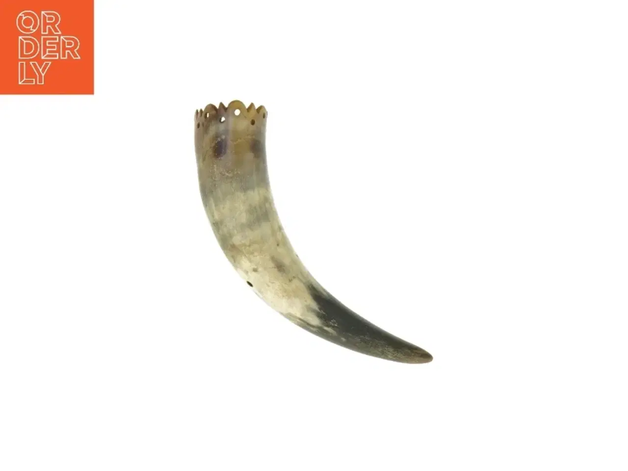 Billede 1 - Dekorativ horn (str. 20 cm)