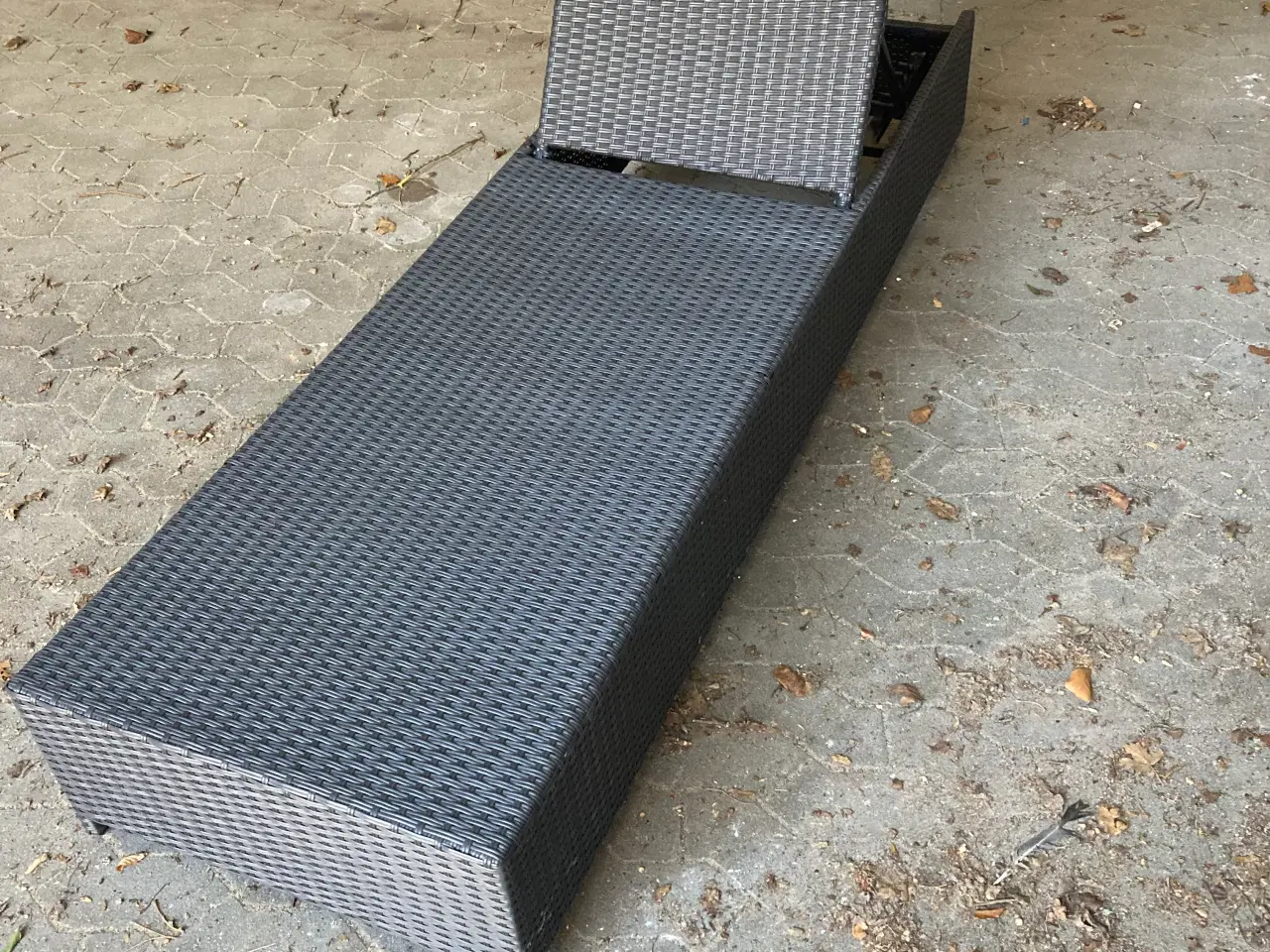 Billede 1 - Monaco solseng