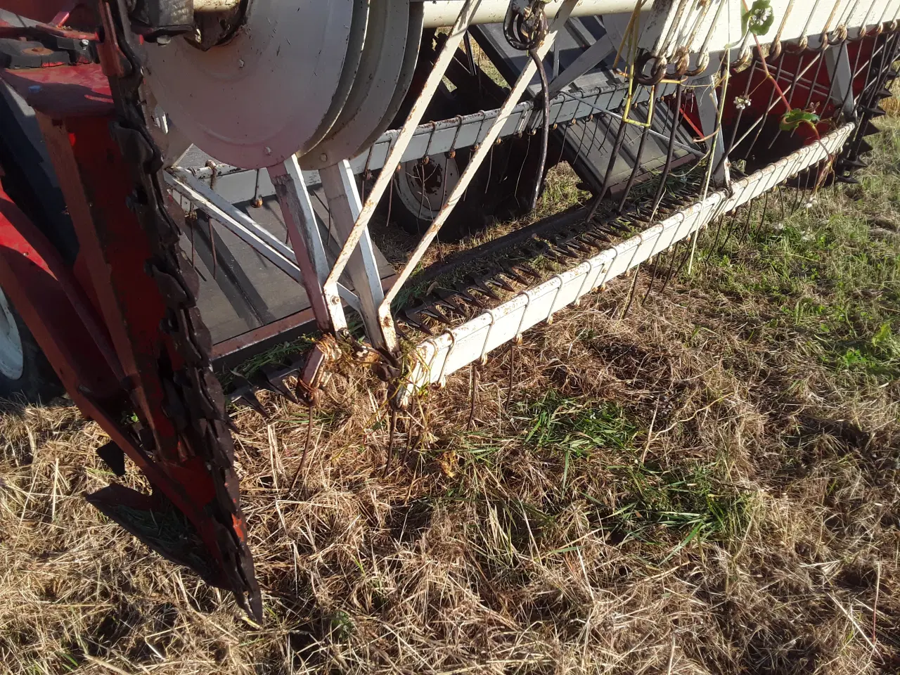 Billede 3 - Heston 300M Skårligger