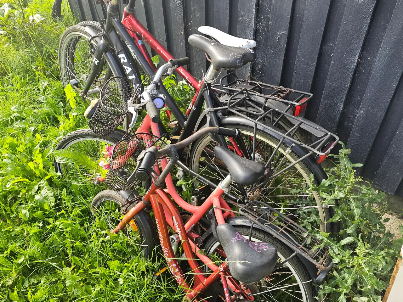 Billede 2 - Cykler – 100kr stk.